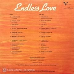 20 Great Love Songs Endless Love LP Plak