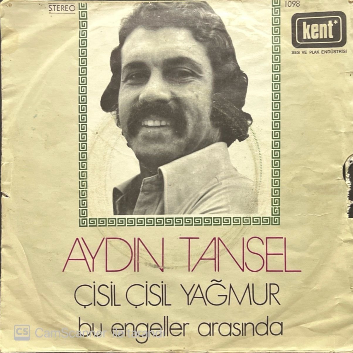 Aydın Tansel Çisil Çisil Yağmur 45lik Plak