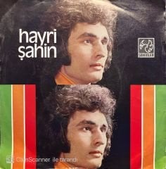 Hayri Şahin Seni Sevdim Diyemi 45lik Plak