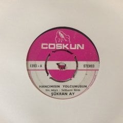 Şükran Ay Hancımısın Yolcumusun 45lik Plak