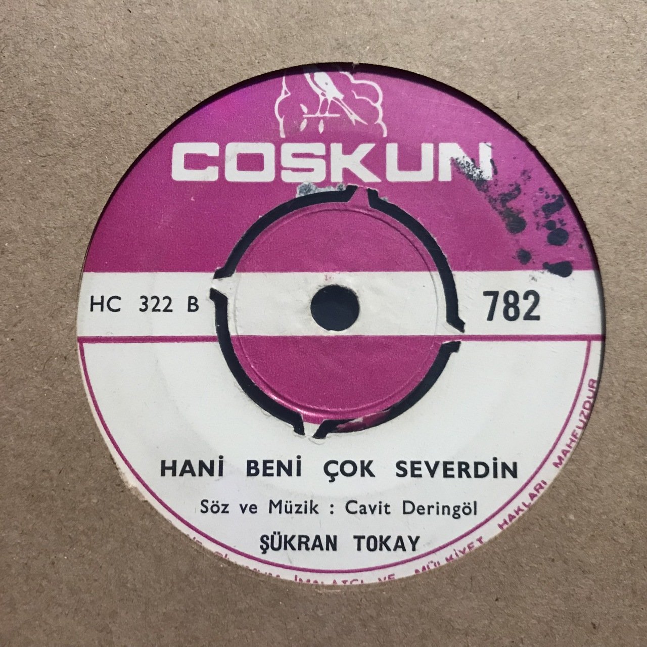 Şükran Tokay Hani Beni Çok Severdin 45lik Plak