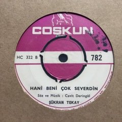 Şükran Tokay Hani Beni Çok Severdin 45lik Plak