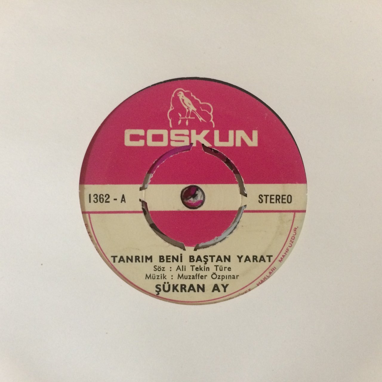Şükran Ay Tanrım Beni Baştan Yarat 45lik Plak