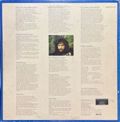 Cat Stevens Tea For The Tillerman LP Plak