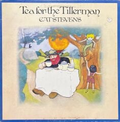 Cat Stevens Tea For The Tillerman LP Plak