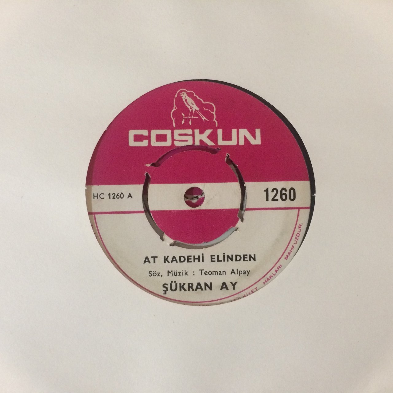 Şükran Ay At Kadehi Elinden 45lik Plak