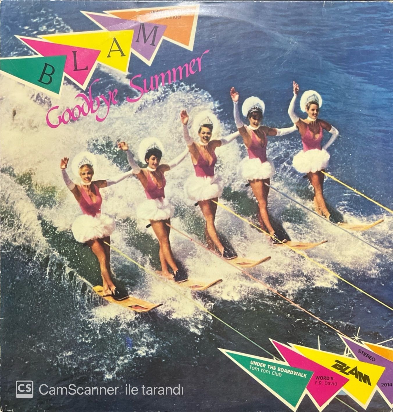Blam Goodbye Summer LP Plak