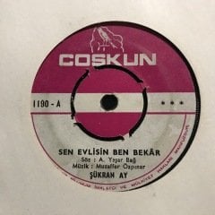 Şükran Ay Sen Evlisin Ben Bekar 45lik Plak