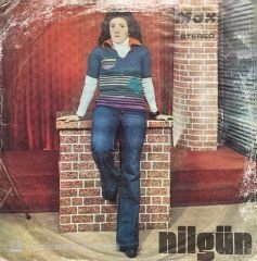 Nilgün Seviyorum Seni Aptal 45lik Plak