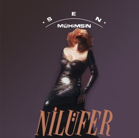 Nilüfer Sen Mühimsin LP Plak
