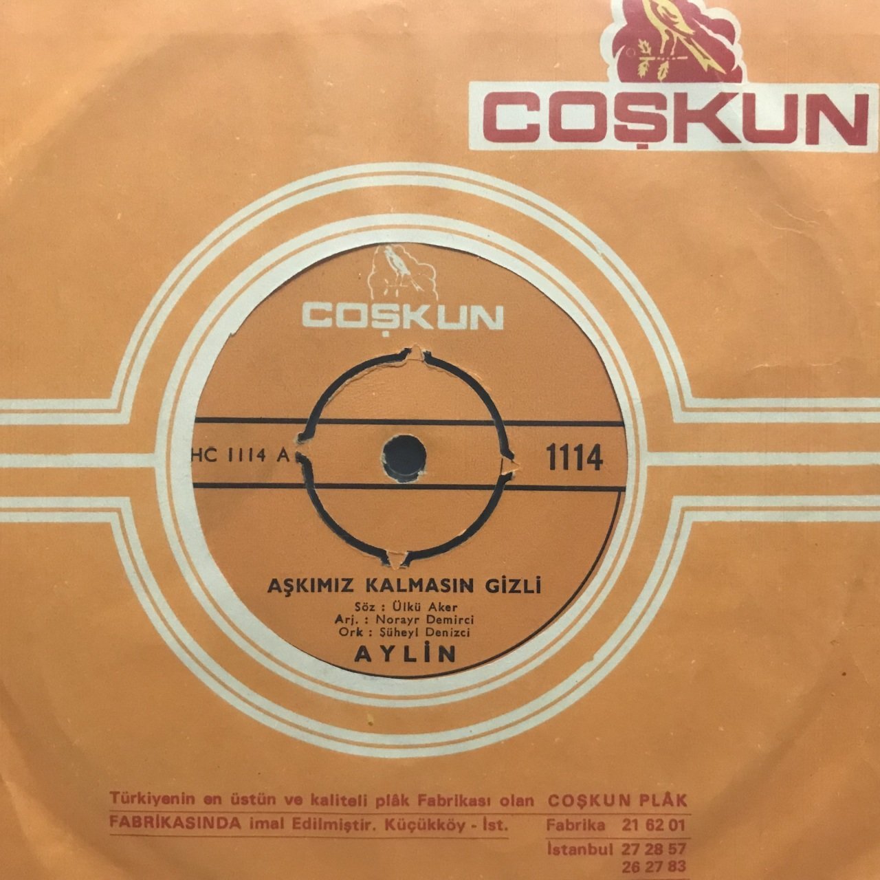 Aylin Aşkımız Kalmasın Gizli 45lik plak