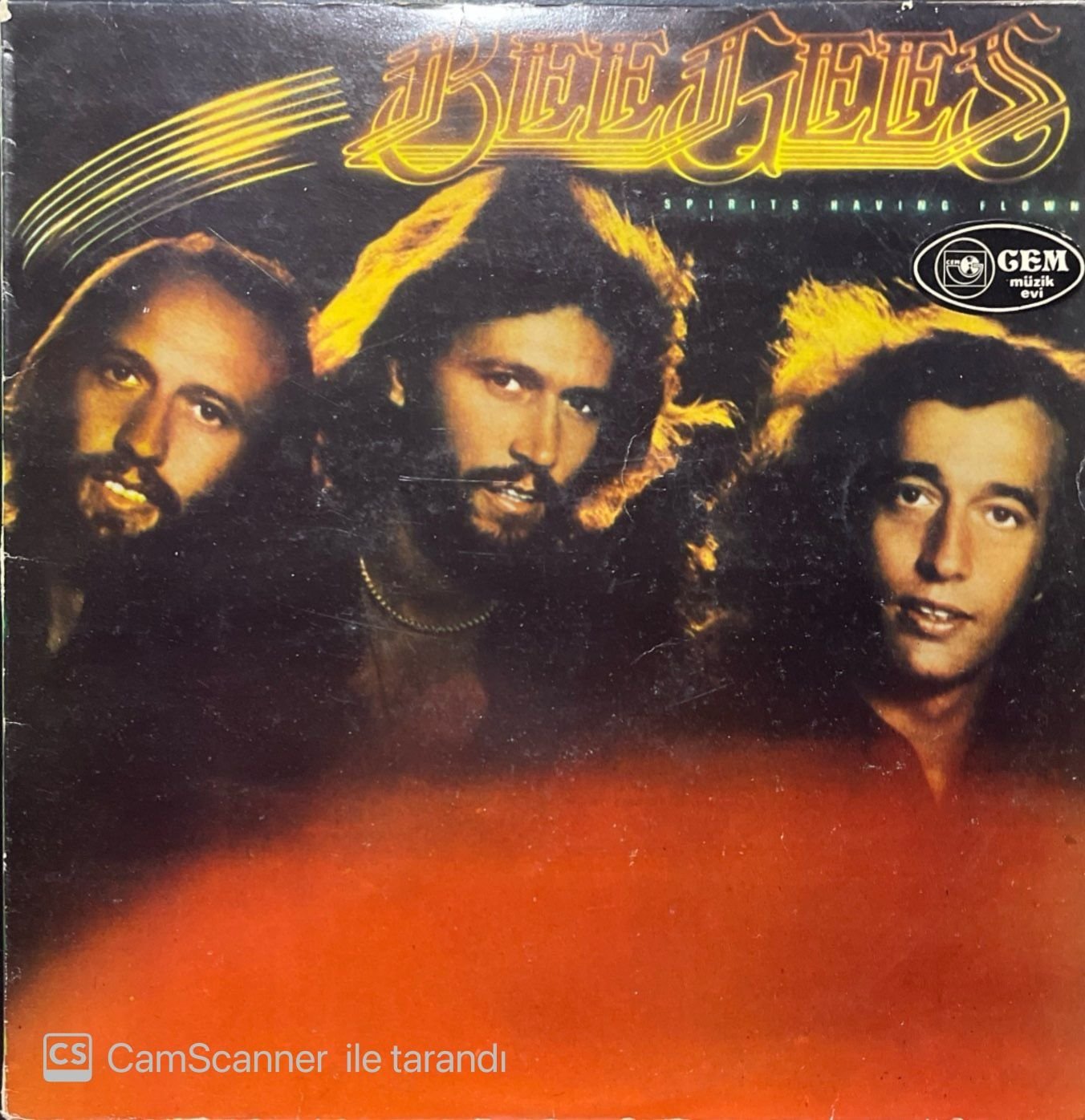 Bee Gees Spirits Having Flown LP Plak