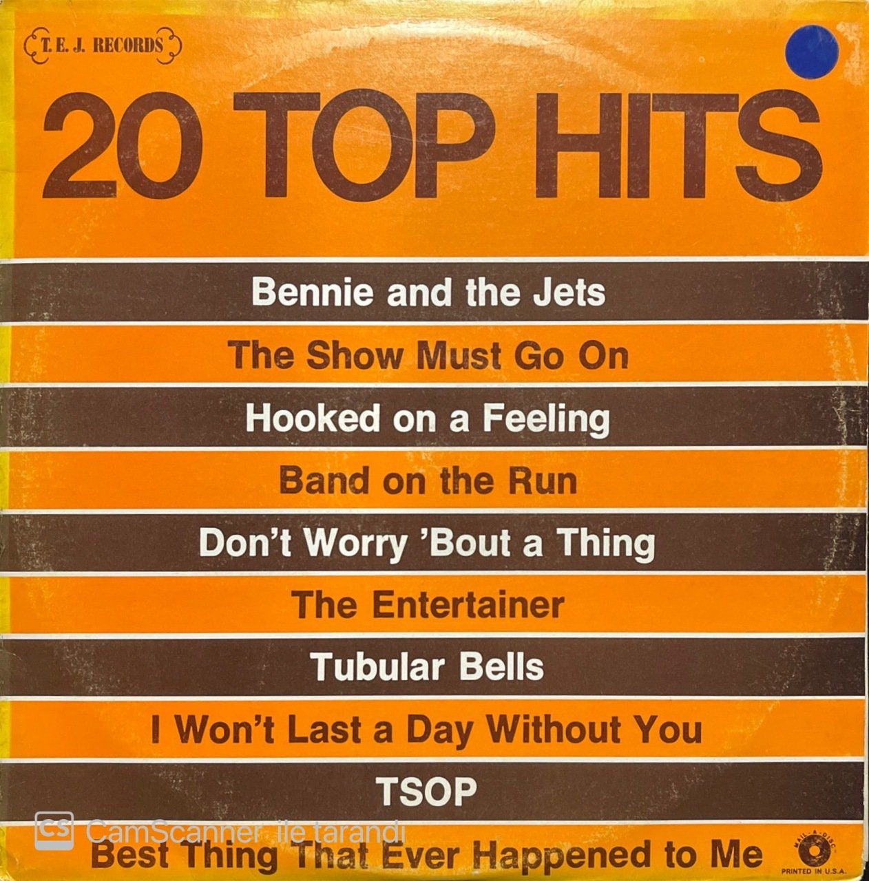 20 Top Hits Double LP Plak