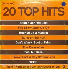 20 Top Hits Double LP Plak