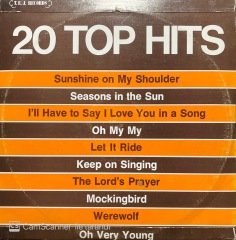 20 Top Hits Double LP Plak