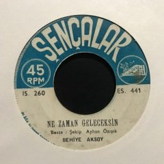 Behiye Aksoy Ne Zaman Geleceksin 45lik plak