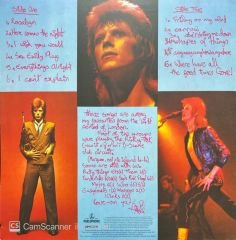 David Bowie Bowie Pinups LP Plak