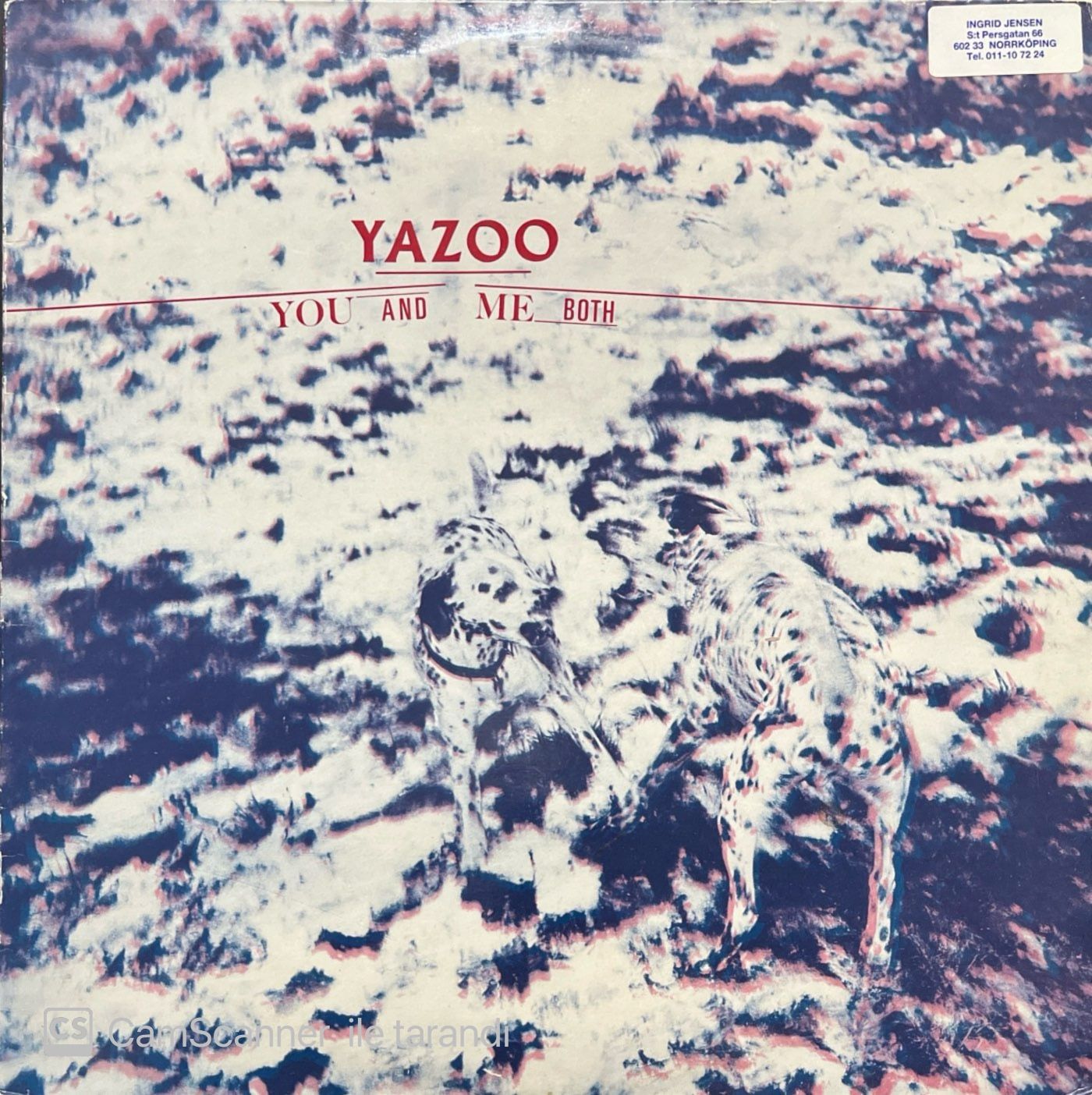 Yazoo You And Me Both LP Plak