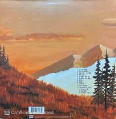 Weezer Everything Will Be Alright In The End LP Plak