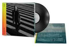 Sting The Bridge LP Plak