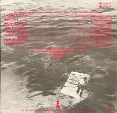 Robert Palmer Clues LP Plak