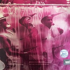 Sting Pleasure LP Plak