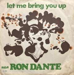 Ron Dante Let Me Bring You Up Çizim Kapak 45lik Plak