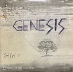 Genesis Wind & Wuthering LP Plak