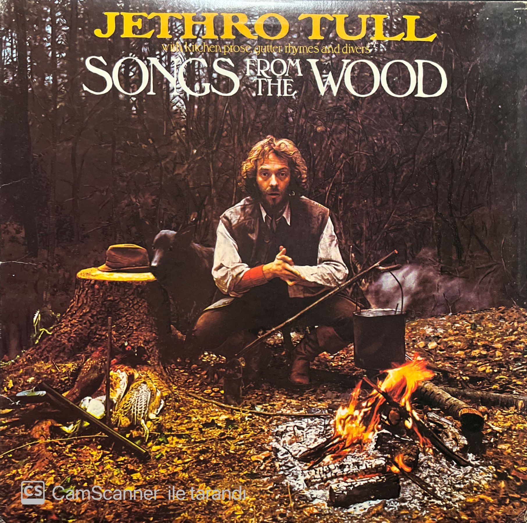 Jethro Tull Songs From The Wood LP Plak