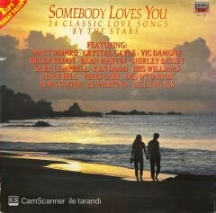Somebody Loves You Double LP Plak