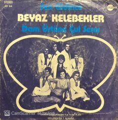 Beyaz Kelebekler Sen Gidince 45lik Plak