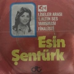 Esin Şentürk Andiçelim Depo Malı 45lik Plak