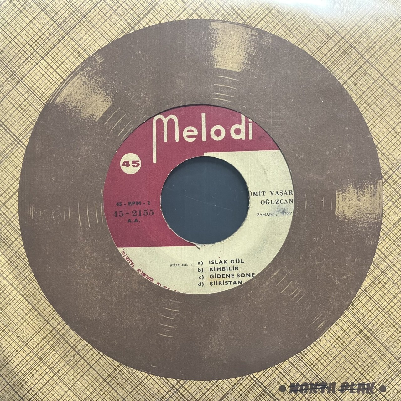 Ümit Yaşar Oğuzcan Islak Gül Mini LP 45lik Plak