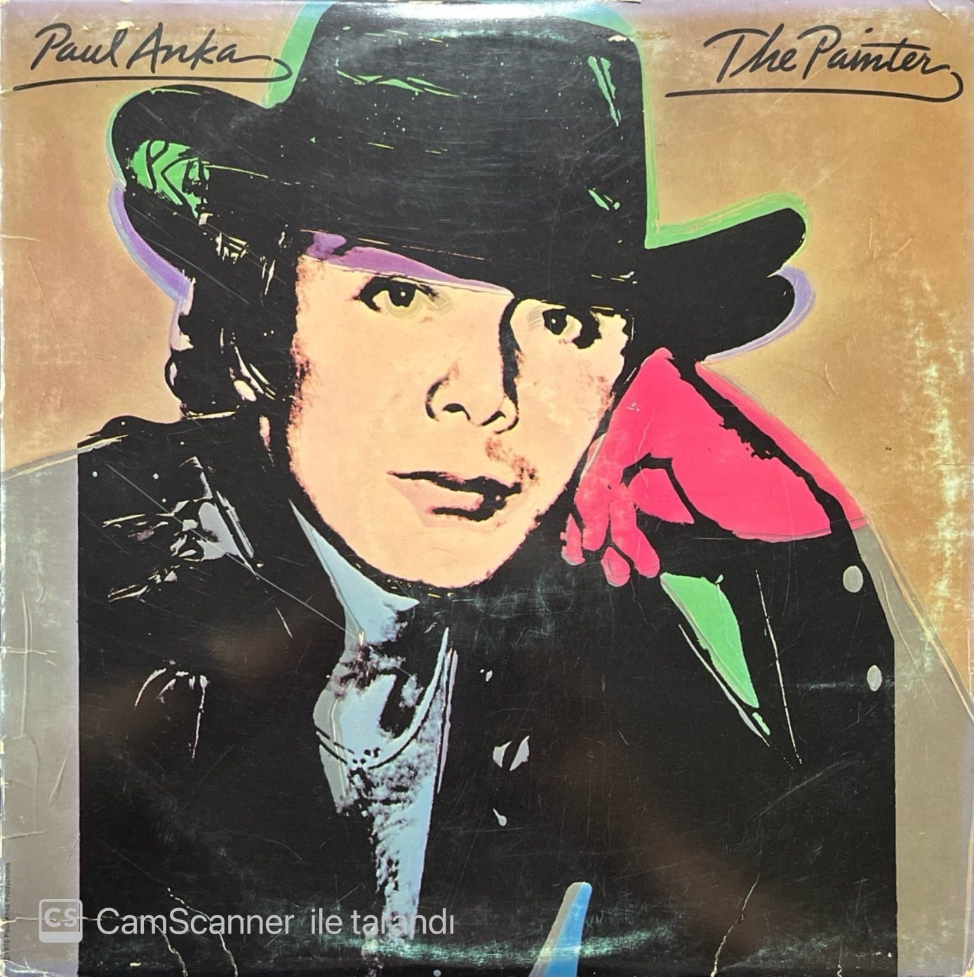 Paul Anka The Painter LP Plak