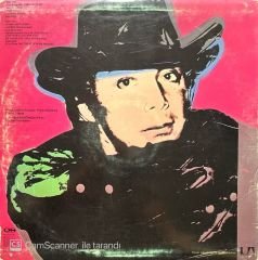 Paul Anka The Painter LP Plak